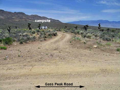 Gass Peak Road