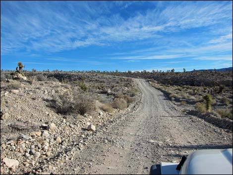 Mormon Well Road