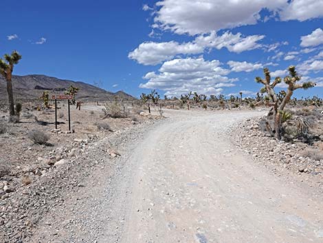 Long Canyon Trailhead