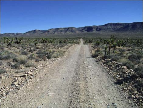 Mormon Well Road