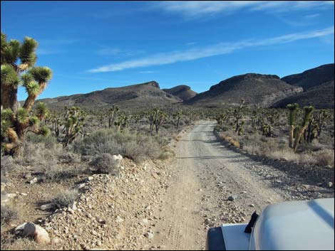 Mormon Well Road