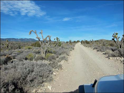 Mormon Well Road