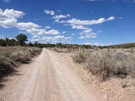 Mormon Well Road