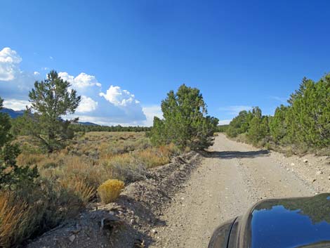 Mormon Well Road