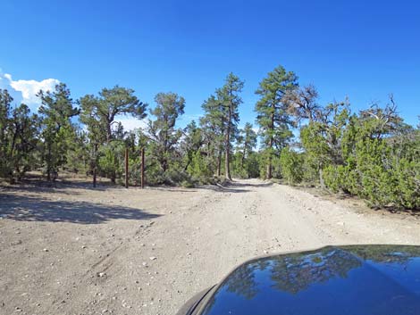 Mormon Well Road