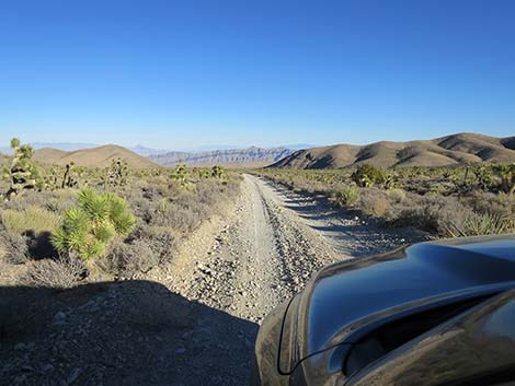 Mormon Well Road