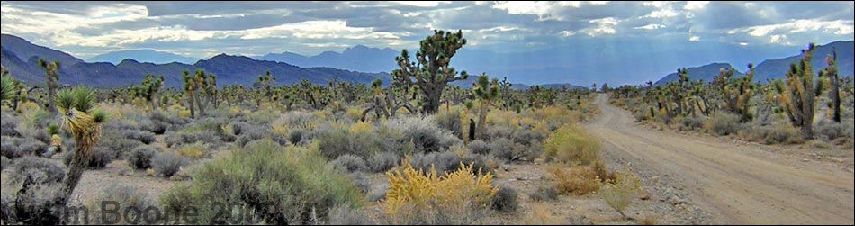 Birding Around the Mormon Well Road