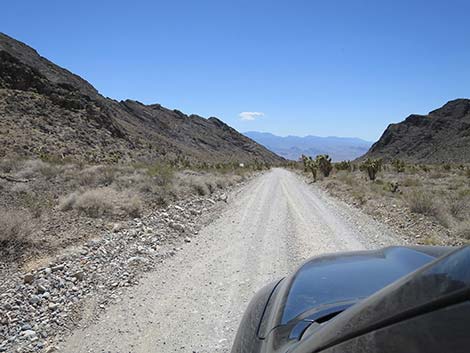 Mormon Well Road