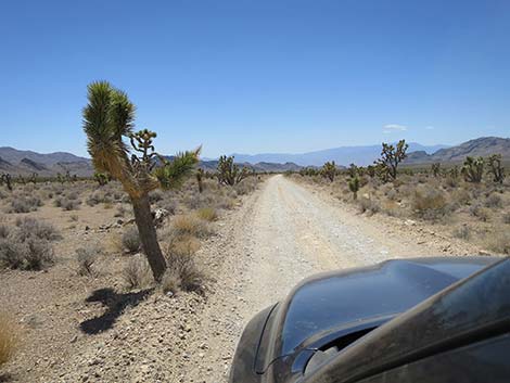 Mormon Well Road