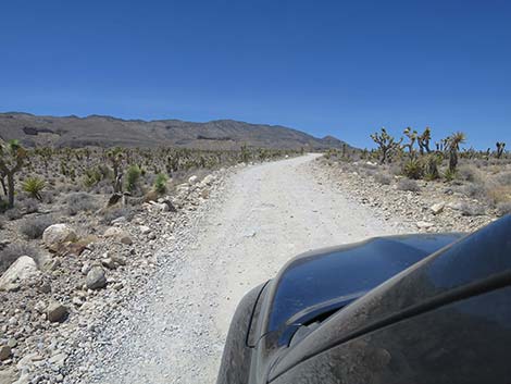 Mormon Well Road