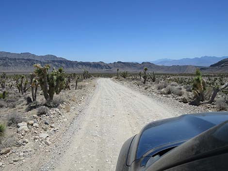 Mormon Well Road