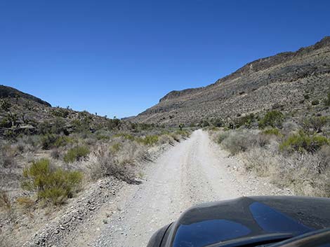 Mormon Well Road