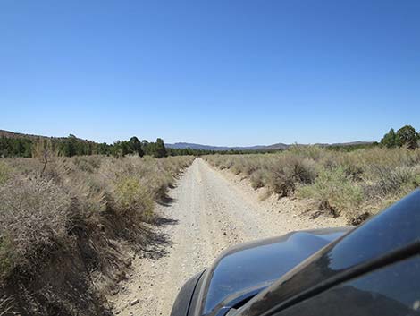 Mormon Well Road