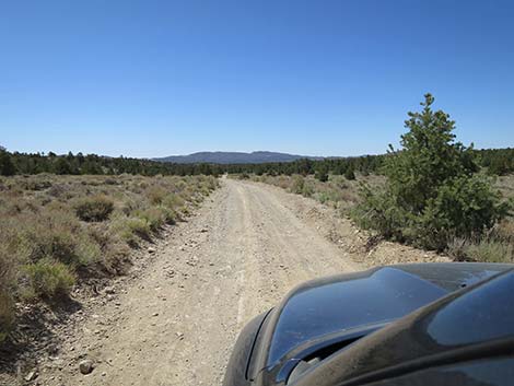 Mormon Well Road