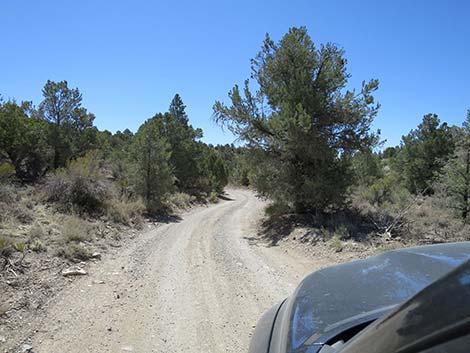 Mormon Well Road