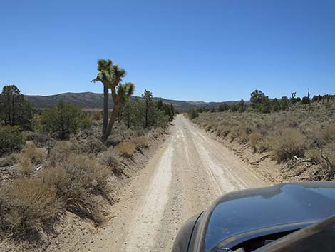 Mormon Well Road