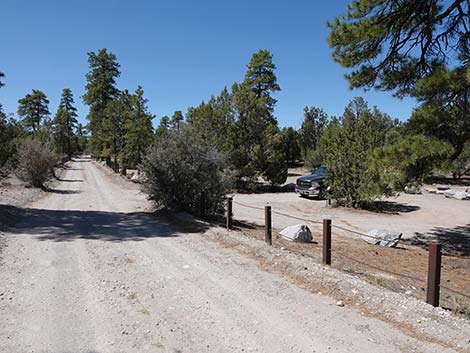 Mormon Well Road