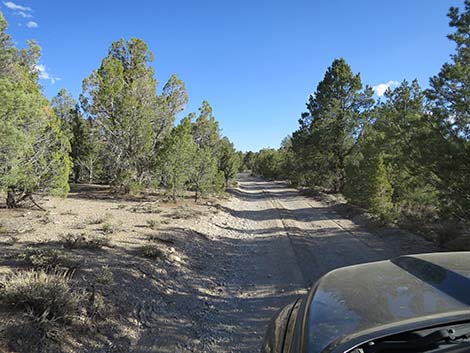 Mormon Well Road