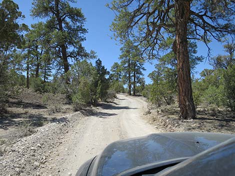 Mormon Well Road