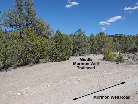 Mormon Well Road