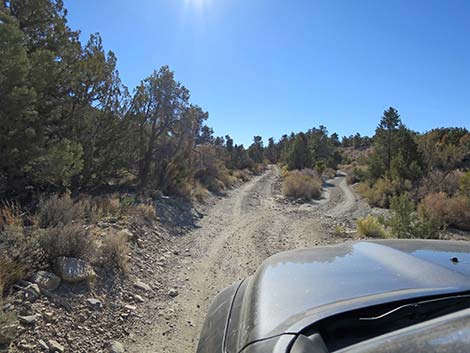 Mormon Well Road