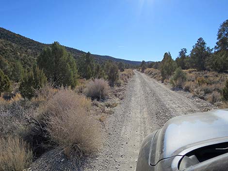 Mormon Well Road