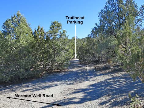 Mormon Well Road