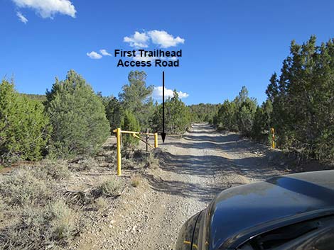 Mormon Well Road