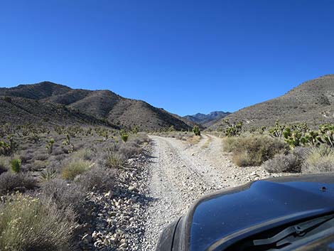 Mormon Well Road