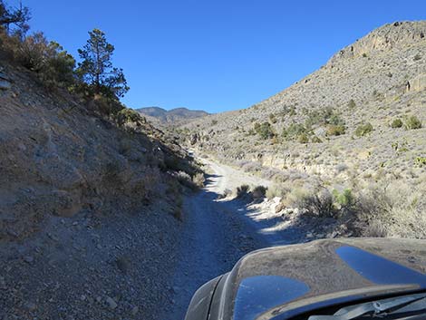 Mormon Well Road