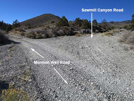 Mormon Well Road