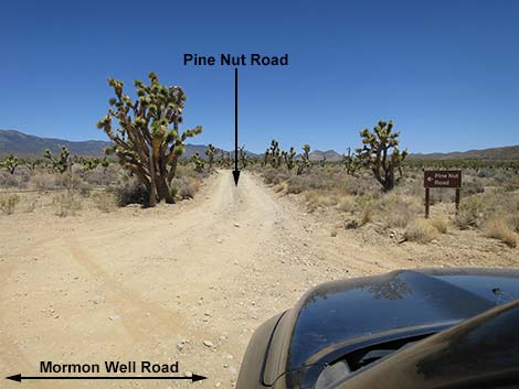 Mormon Well Road