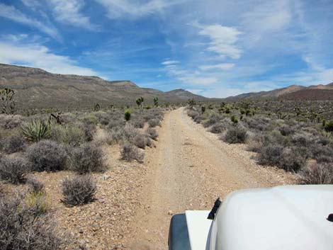 Quail Spring Road