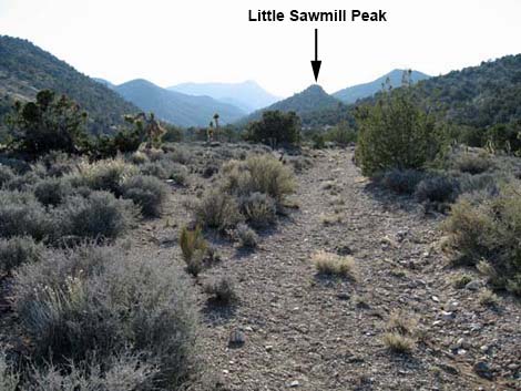 little sawmill peak