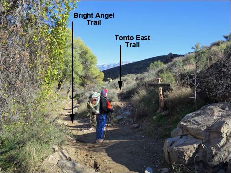 Bright Angel Trail