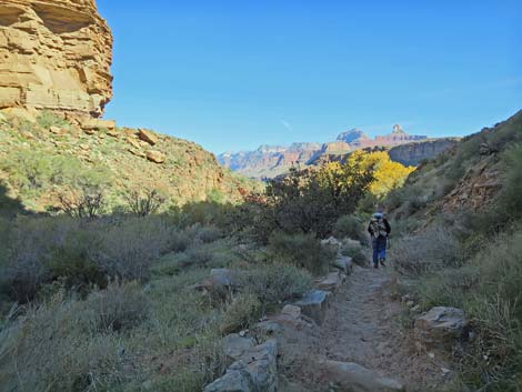 Bright Angel Trail