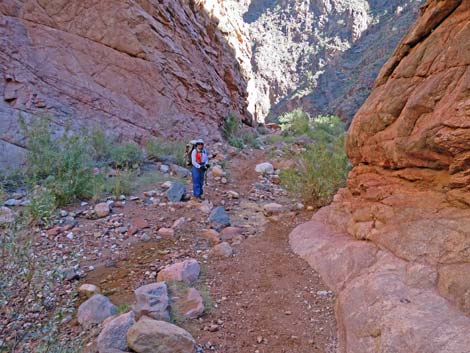 Bright Angel Trail