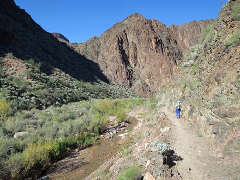 Bright Angel Trail