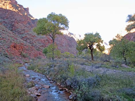 Bright Angel Trail