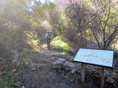 Bright Angel Trail