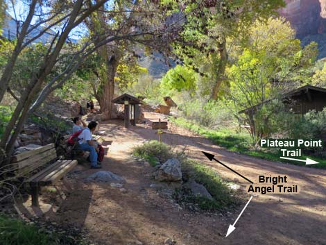 Bright Angel Trail