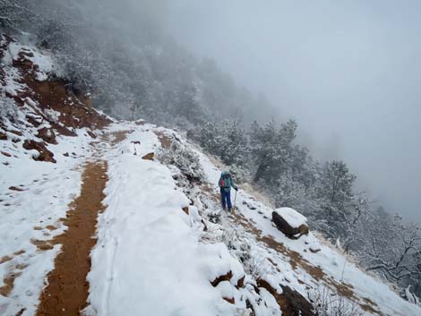 Bright Angel Trail