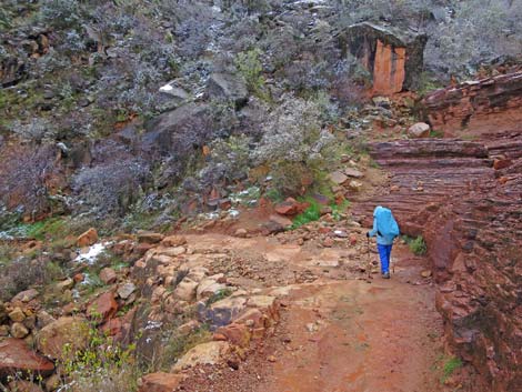 Bright Angel Trail