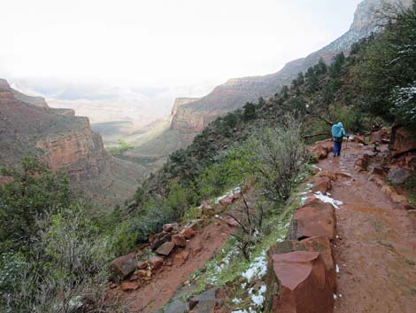 Bright Angel Trail