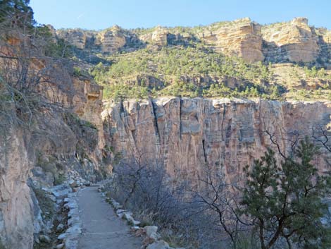 Bright Angel Trail