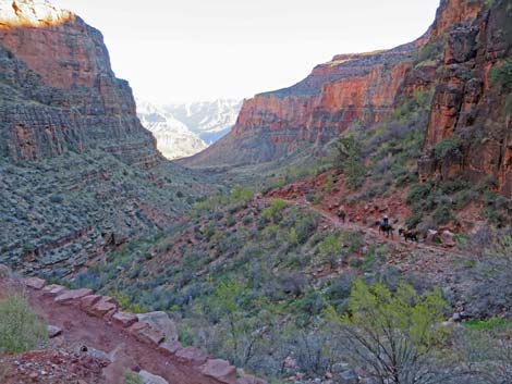 Bright Angel Trail