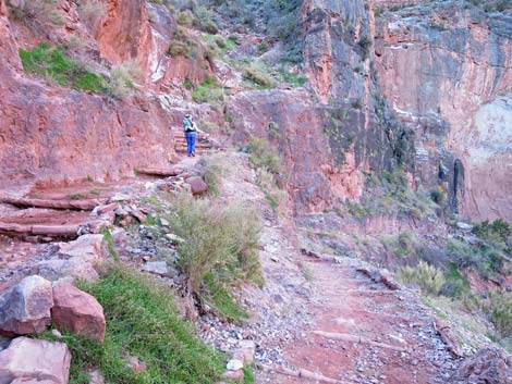 Bright Angel Trail