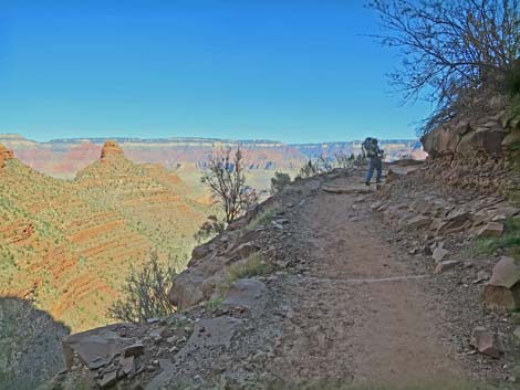 Bright Angel Trail