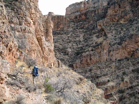 Cottonwood Trail