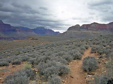 tonto west trail